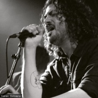 Lonely Walk en concert