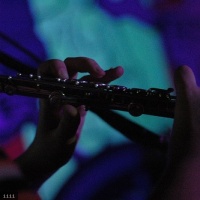 L.T.D.M.S. en concert