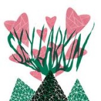 Sky Larkin en concert