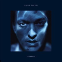 Malik Djoudi en concert