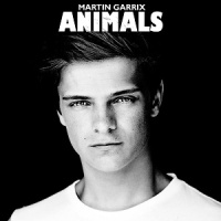 Martin Garrix en concert