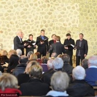 Mecs Plus Ultra en concert