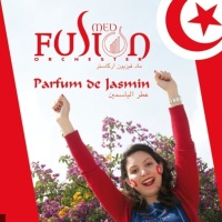 Med Fusion Orchester en concert