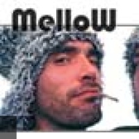 Mellow en concert