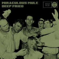 Miraculous Mule en concert