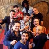 Mister Gang en concert