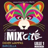 Festival Mix'Cit&eacute;