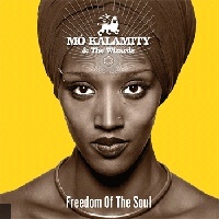 Mo'Kalamity & The Wizards en concert