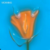 Moaning en concert