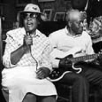 Music Maker Blues Review en concert