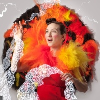 My Brightest Diamond en concert