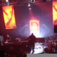 Natty Bass en concert