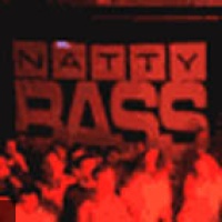 Natthy Bass Sound System en concert