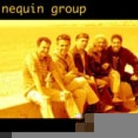 Nequin group en concert