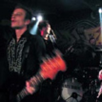 Neurotic Swingers en concert