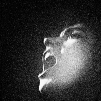 Oiseaux-Temp&ecirc;te en concert