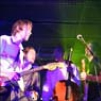 Tahiti Boy and the Palmtree Family en concert