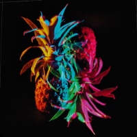 Pendentif en concert