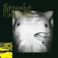 P&eacute;niche en concert