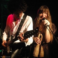 Phoebe Killdeer and the Short Straws en concert