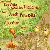 Festival Voix sous les Platanes