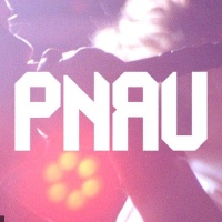 Pnau en concert