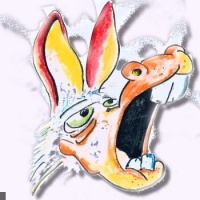 Festival Au pré de mon âne