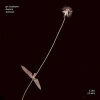 Prinzhorn Dance School en concert