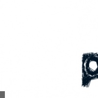 Psyloz en concert