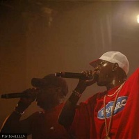 Public Enemy en concert