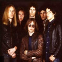 Radio Birdman en concert