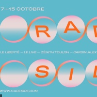 Festival Rade Side Of The Moon