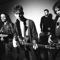 Razorlight en concert