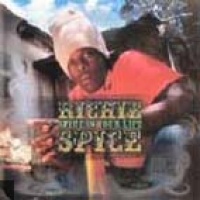 Richie Spice en concert