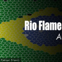 Rio Flamenco Project en concert