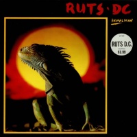 Ruts DC en concert