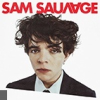 Sam Sauvage en concert