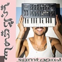 sami galbi en concert