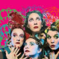 Les Sea Girls en concert