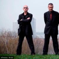 Shaggy Dogs en concert