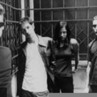 Shane Cough en concert