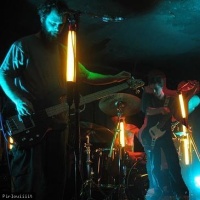 Le Singe Blanc en concert