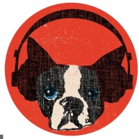 Snarky Puppy en concert