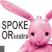 Spoke Orkestra en concert