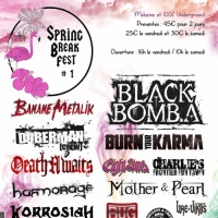 Spring Break Festival