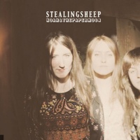 Stealing Sheep en concert