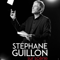 St&eacute;phane Guillon en concert
