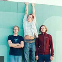 Sportfreunde-stiller en concert