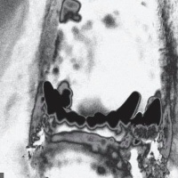 Structures en concert