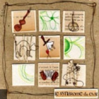 Le Syndrome du chat en concert